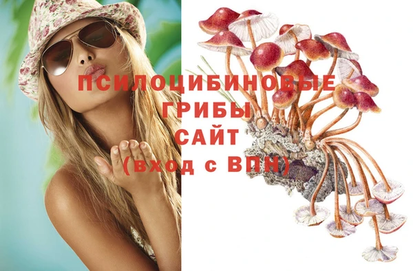 первитин Алексеевка