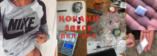 apvp Алексин